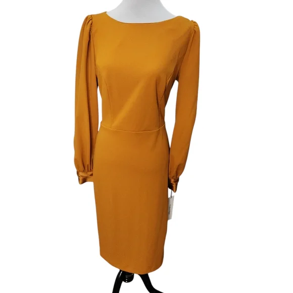 NWT Calvin Klein Amber Long Sleeve Retro 1970s Style Size 10 - Picture 1 of 9